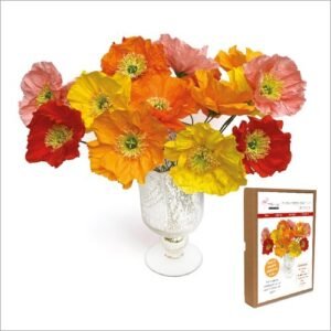 FKC003 Floral Craft Kit: Icelandic Poppies