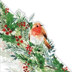 XC1C07 Robins and Foliage